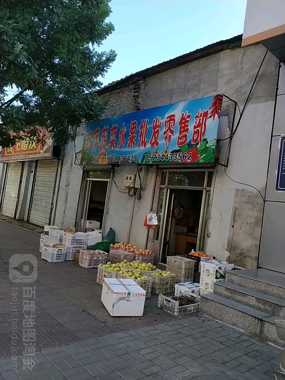 志萍蔬菜水果批零