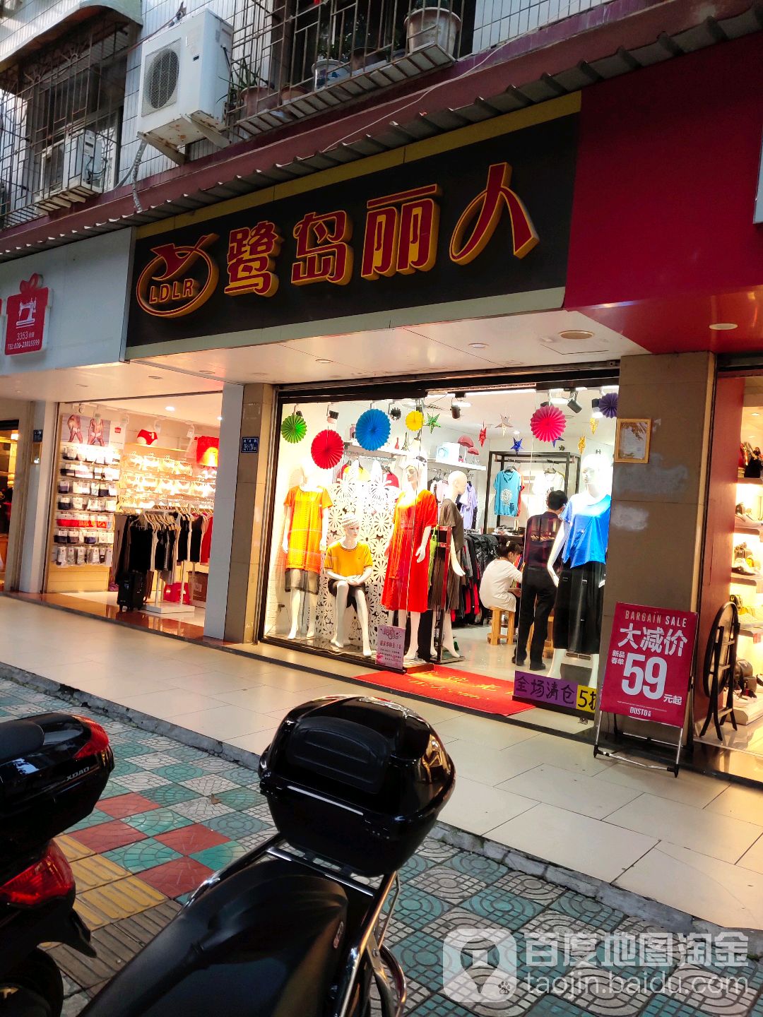 鹿岛丽人