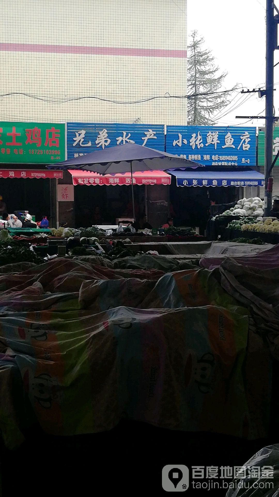 胸弟水产