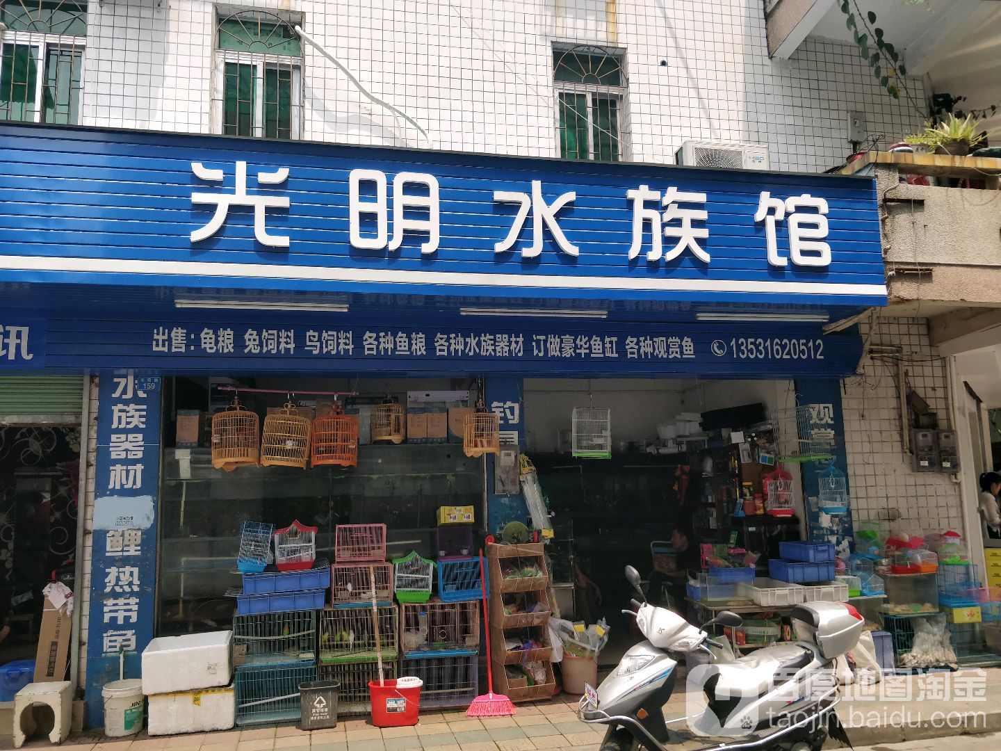 光明水族馆(桥东三路店)