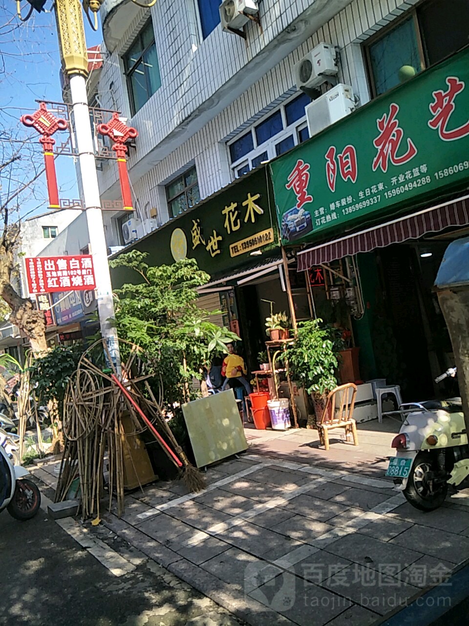 盛世花木