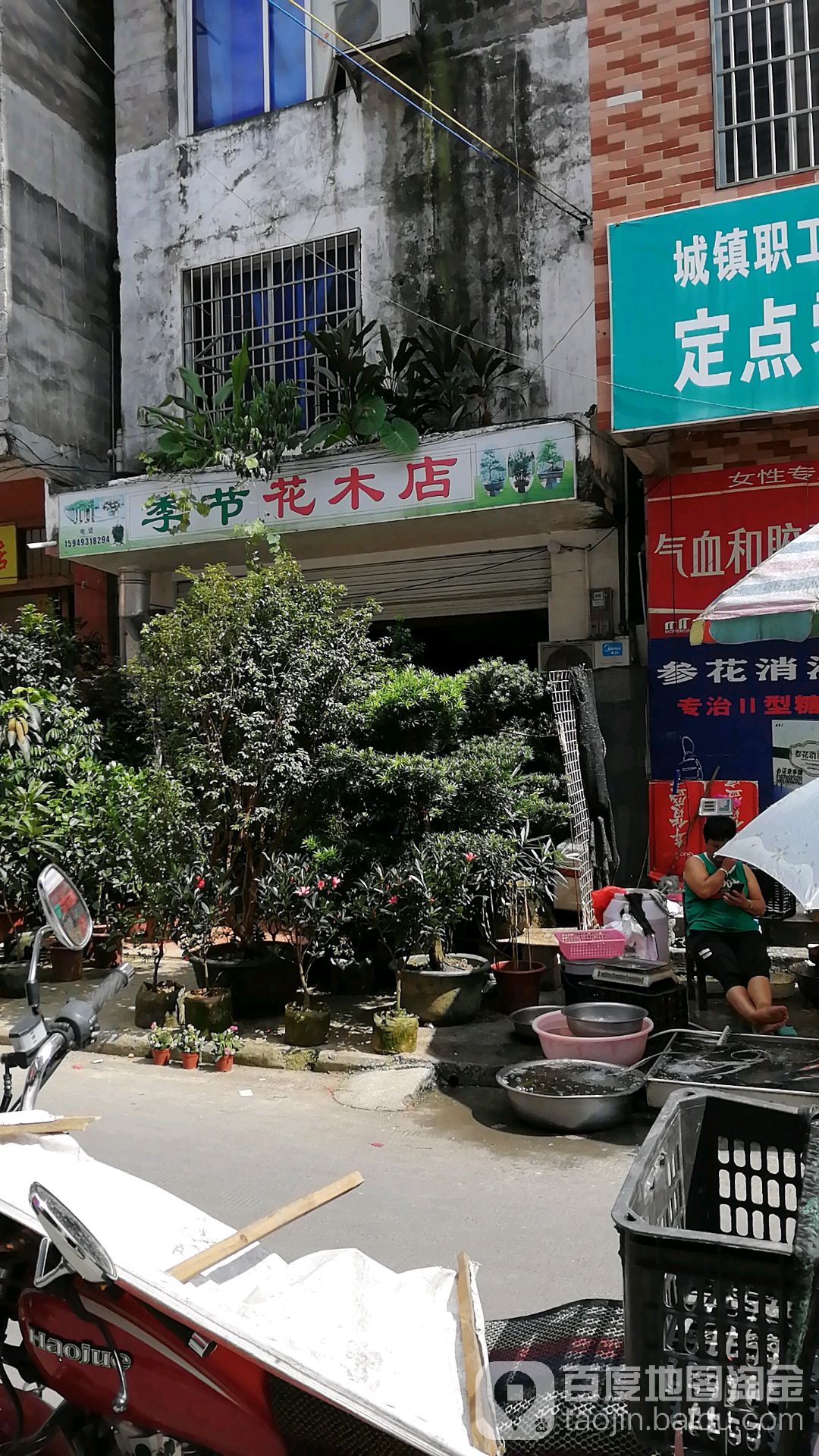 季节花木店(花木店)