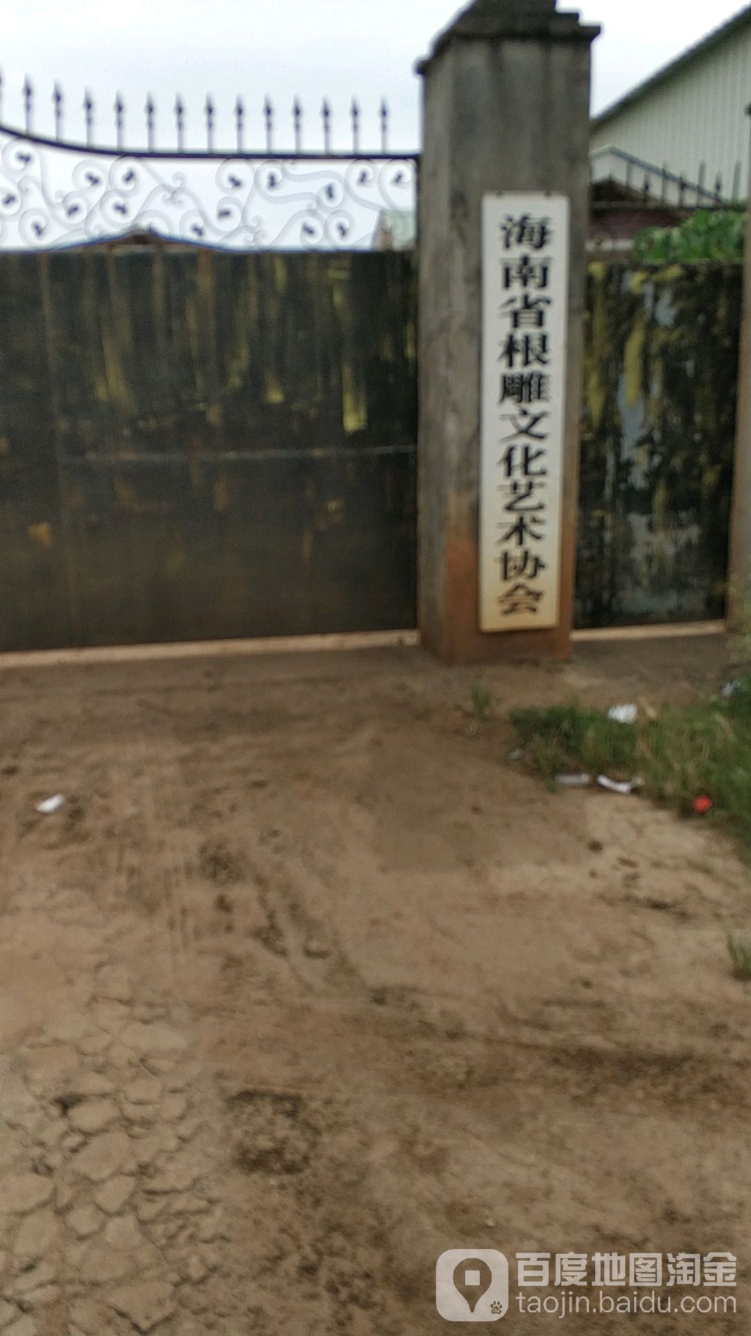 海南省根雕文化艺术协会