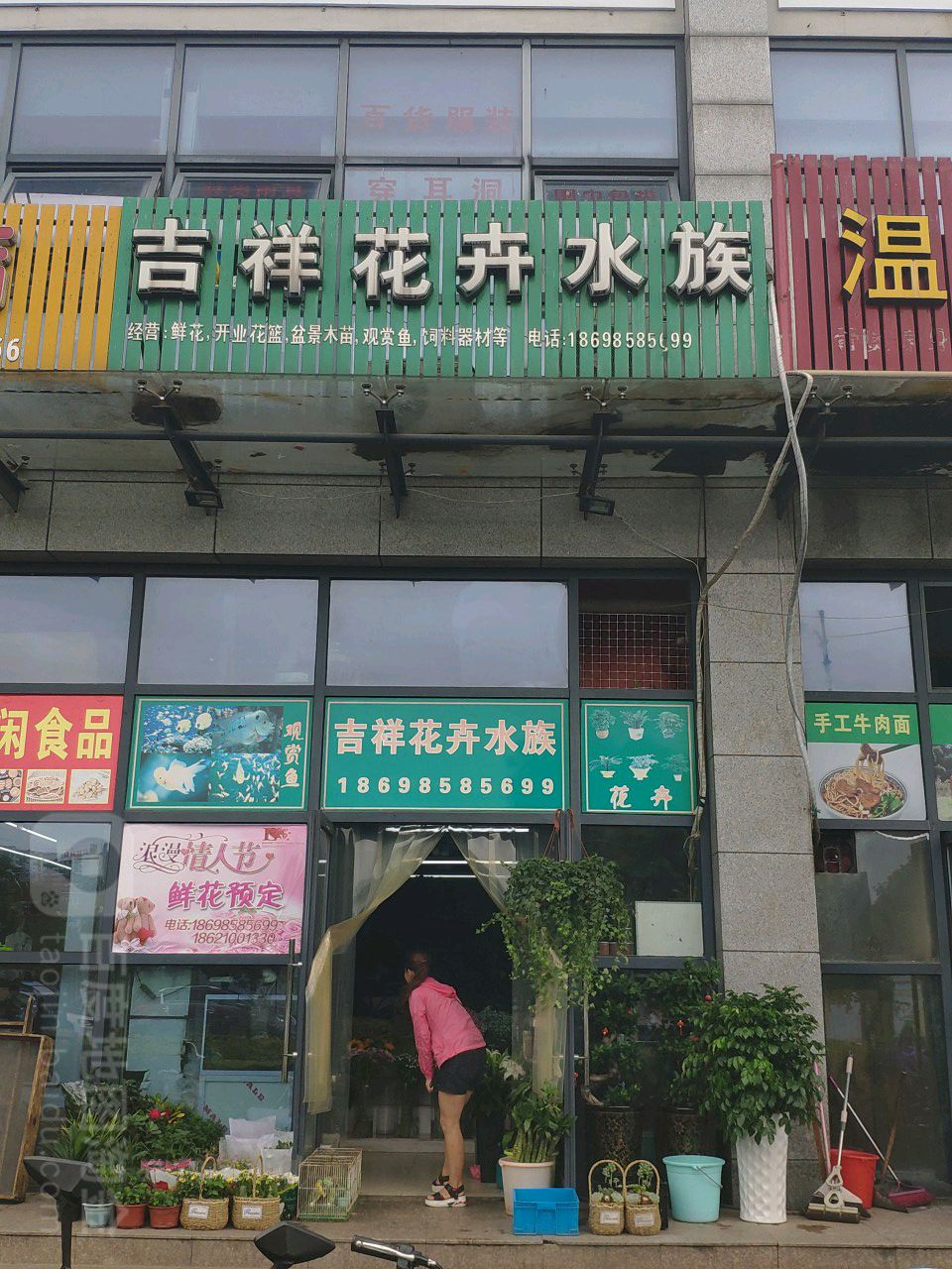 吉祥花卉水族