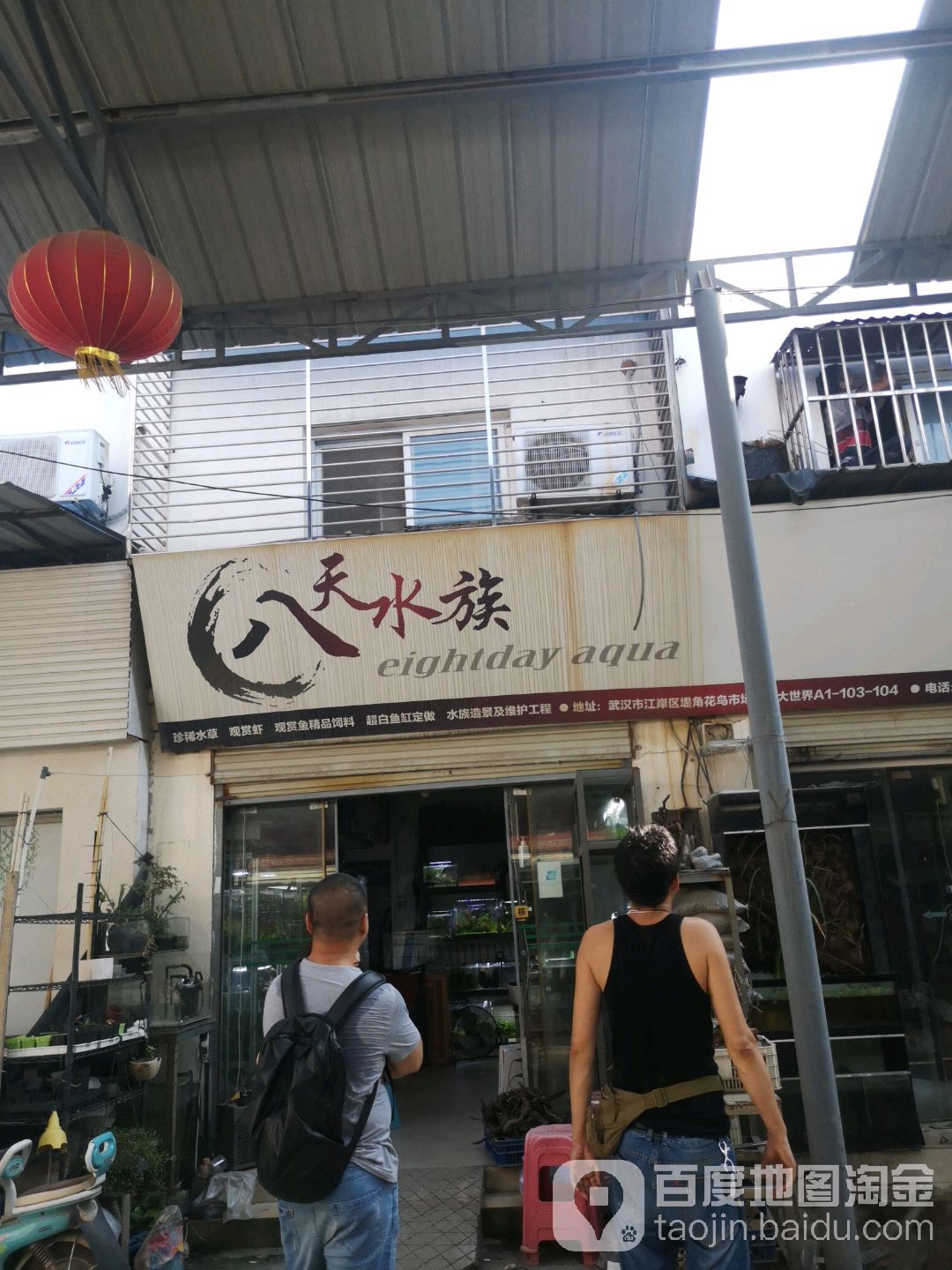 八天水族