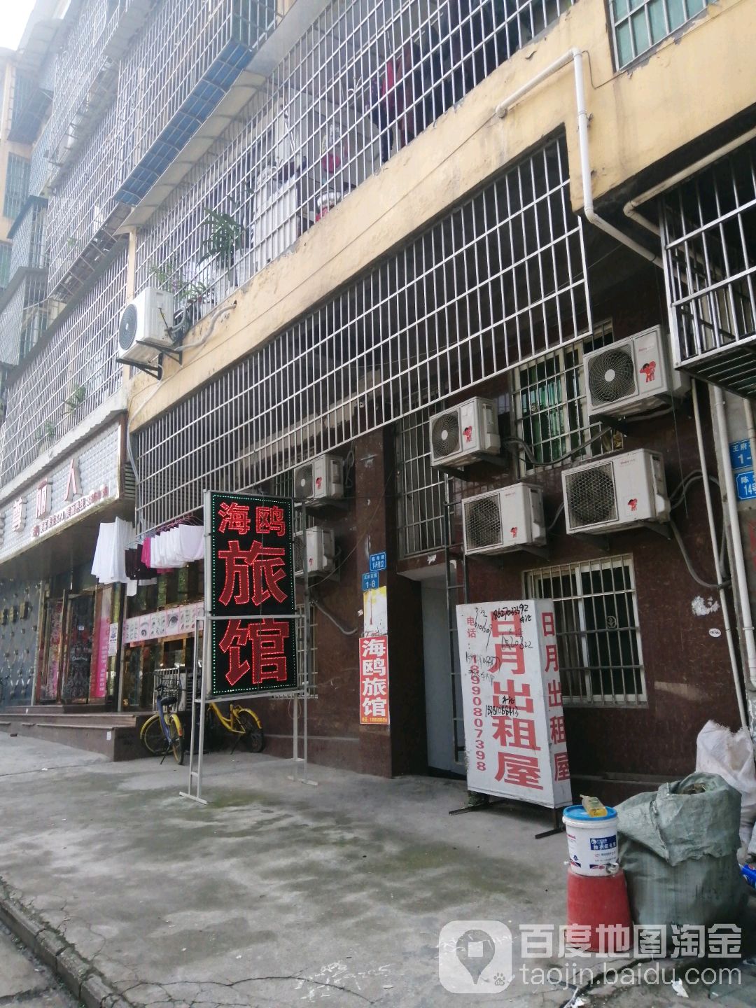 海鸥绿馆