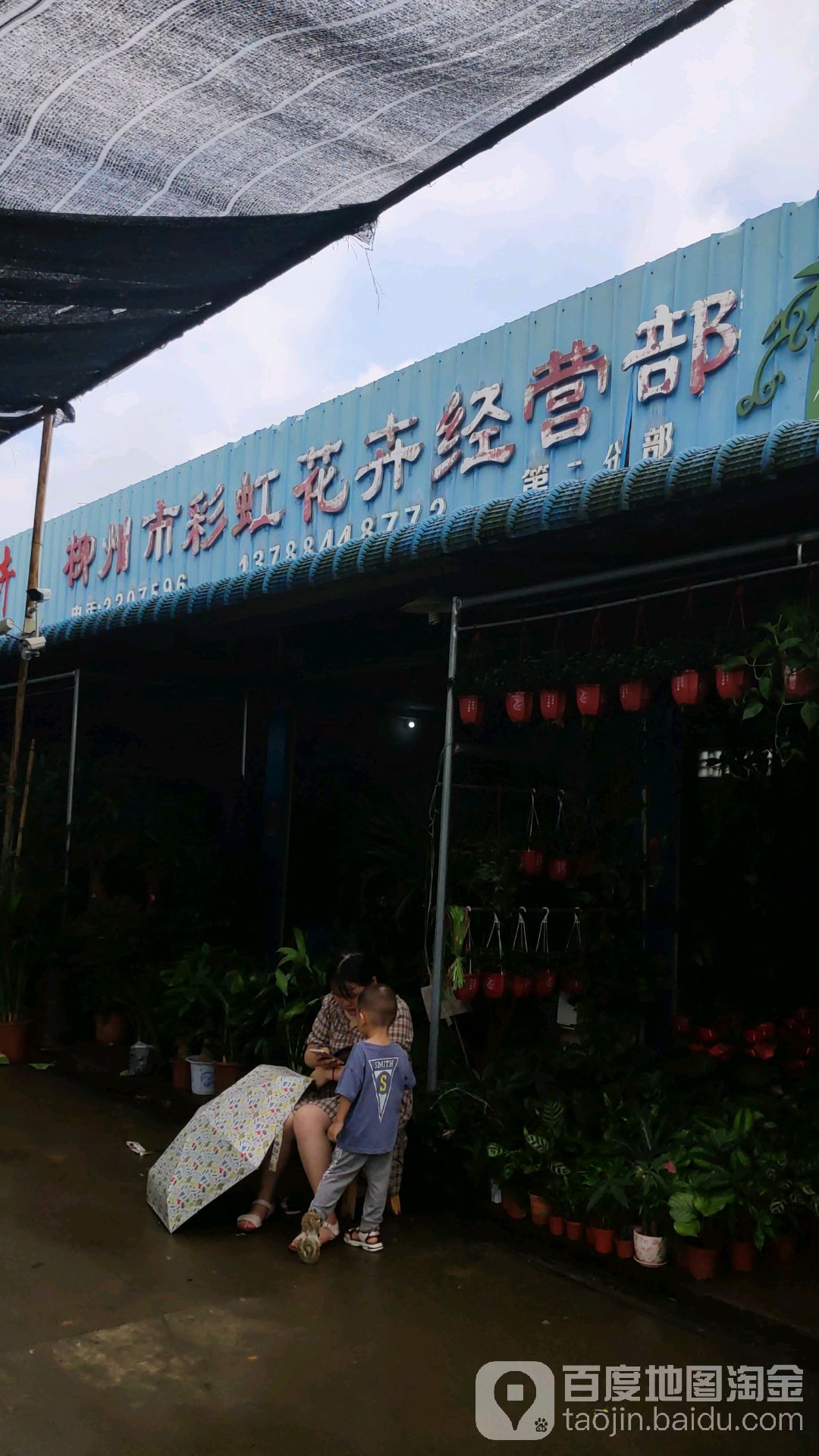 柳州市彩虹花卉经营部