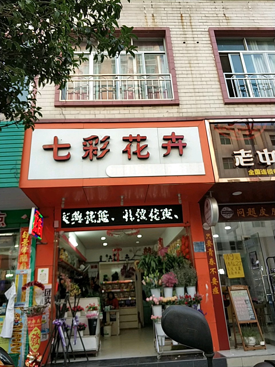 七彩花卉(龙江路店)
