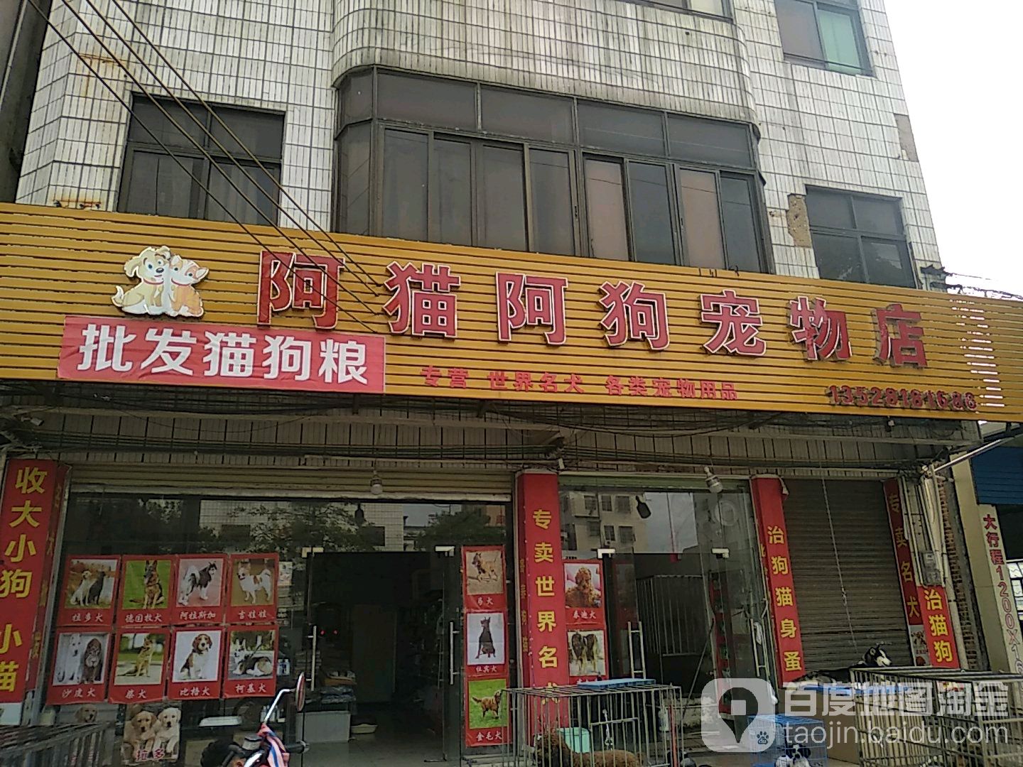 阿猫阿狗宠物店