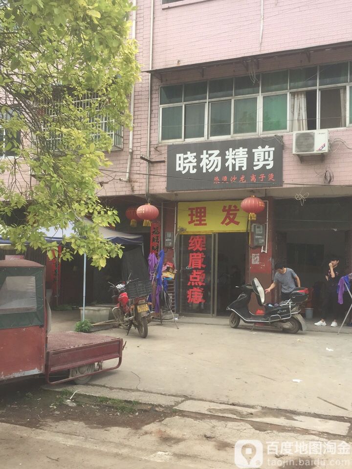 晓杨精剪