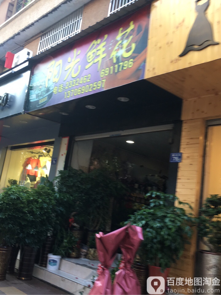阳光鲜花