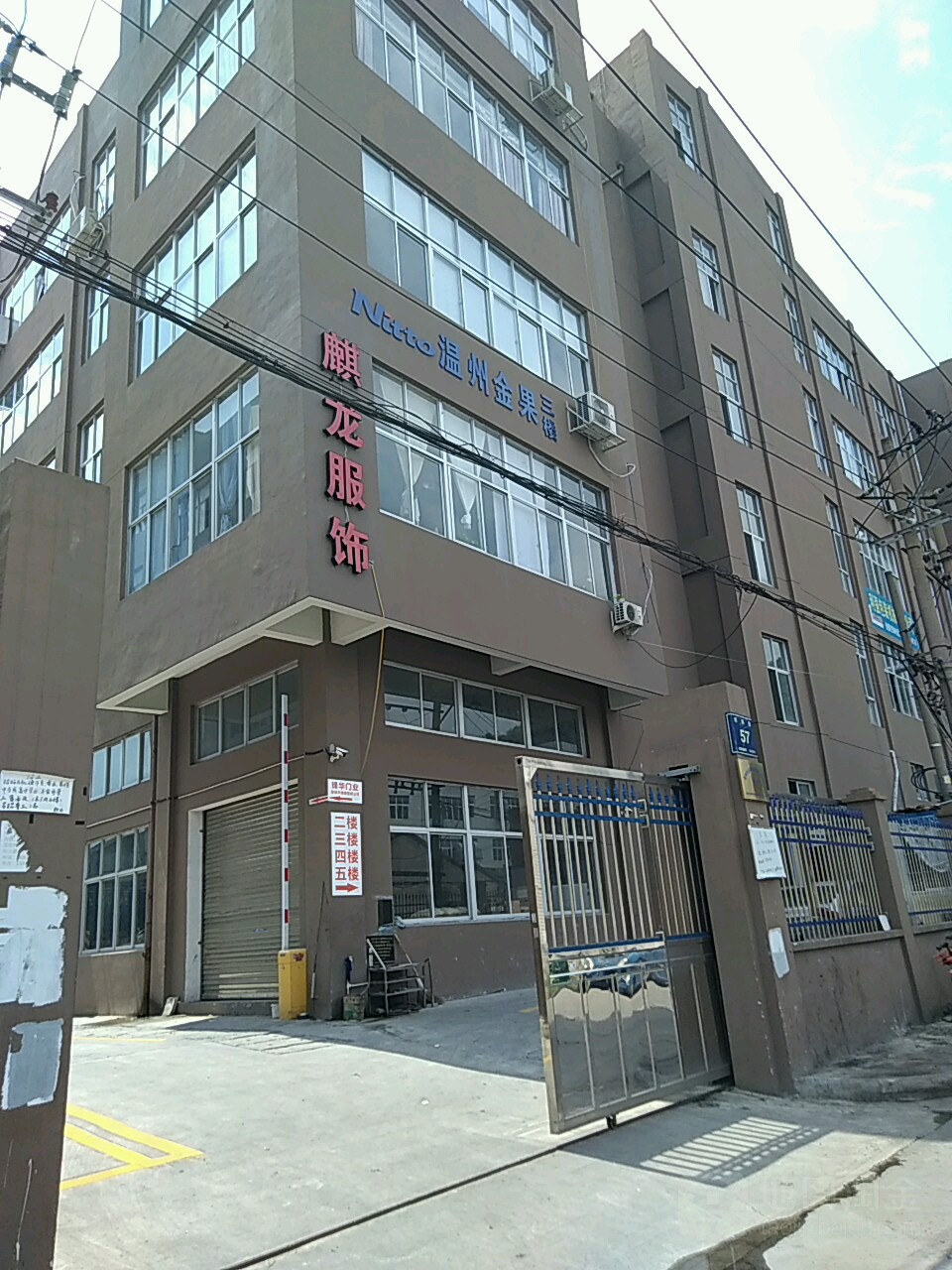 温州金果