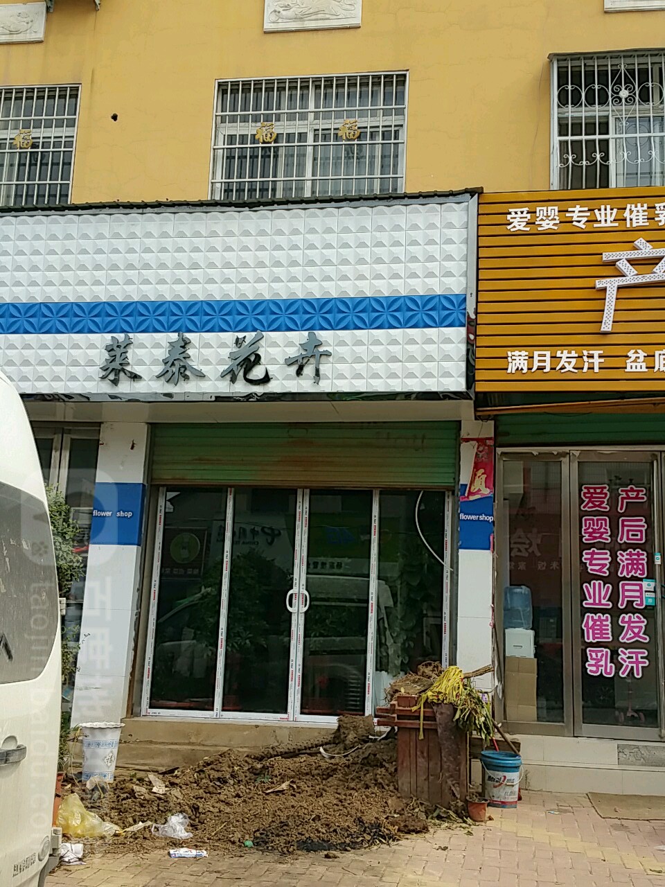 唐河县莱泰花卉店