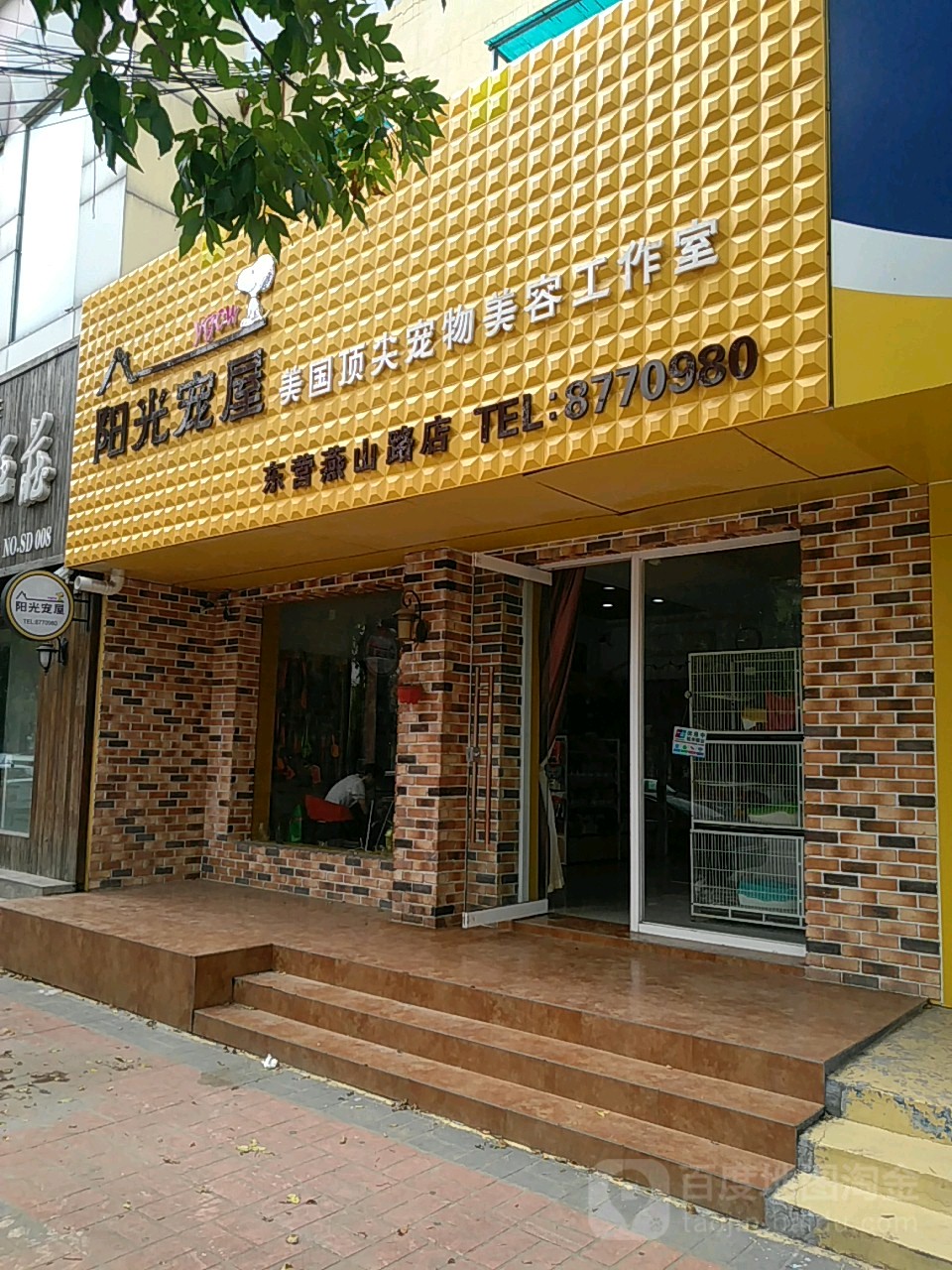 阳光宠屋(东营燕山路店)