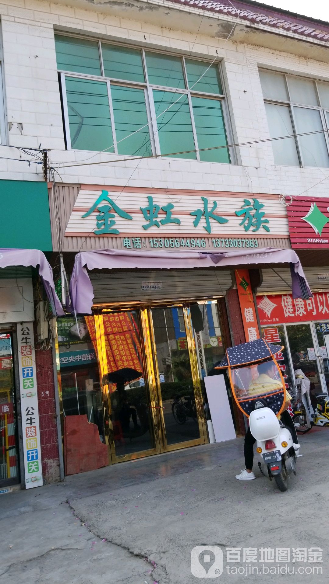 金虹水族
