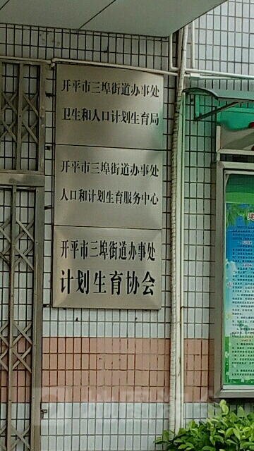 广东省江门市开平市三埠镇思明路1号三埠街道办事处