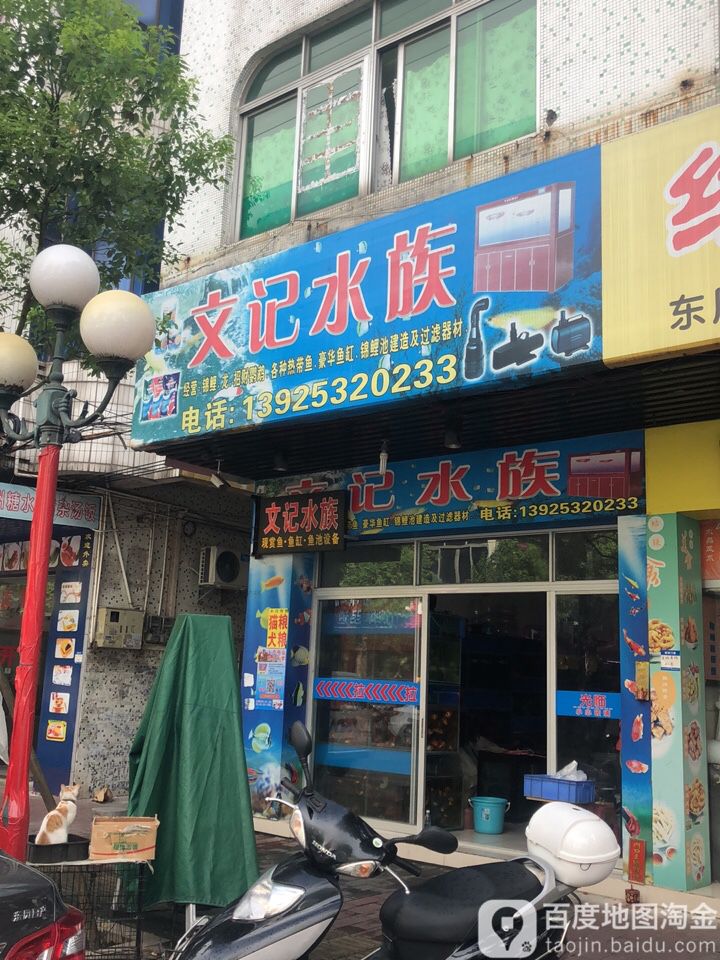 文记水族(金怡南路41号)