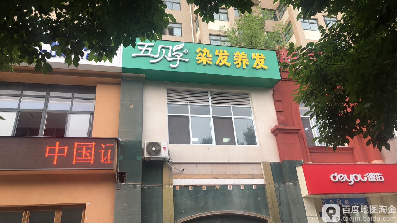 五倍子染发养发(帕拉帝奥店)