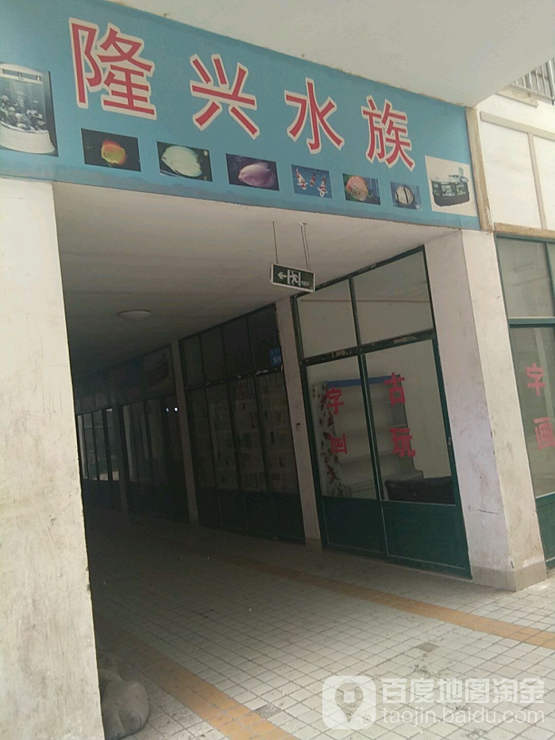 隆兴水族
