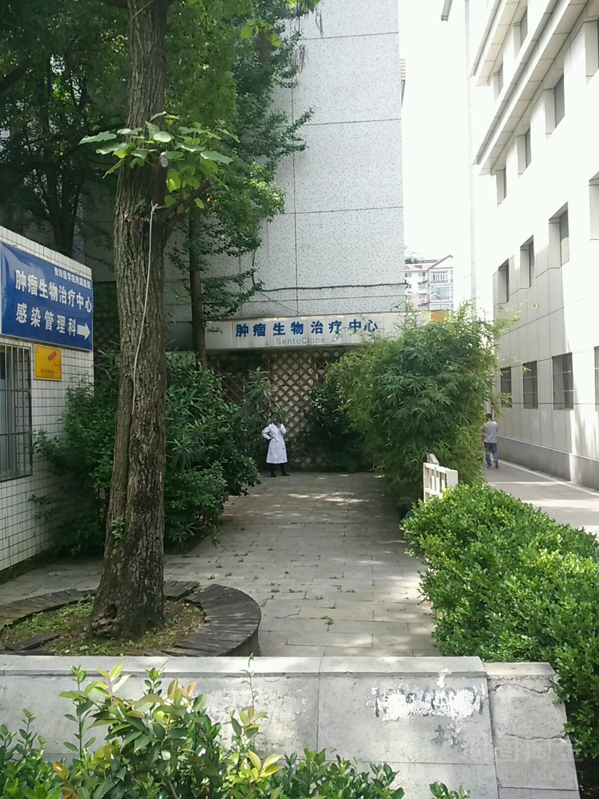 贵阳医学院附属医院-肿瘤生物治疗中心