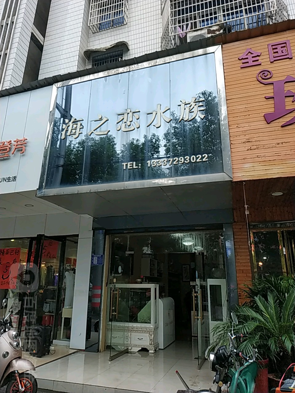 海之恋水族(鱼缸店)