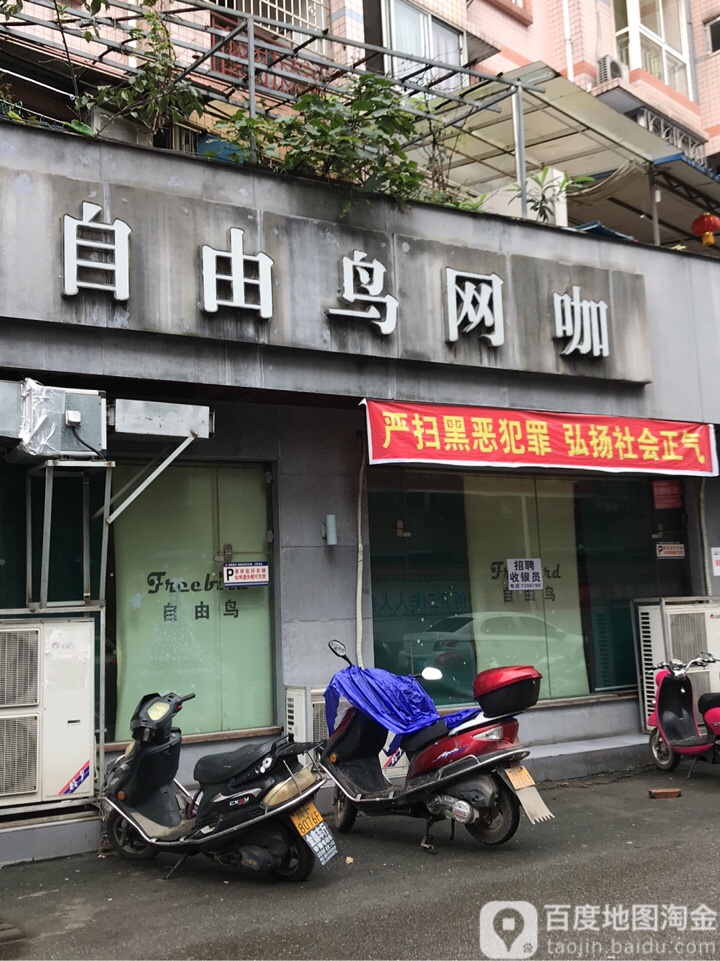 自由鸟王卡(商业步行街店)