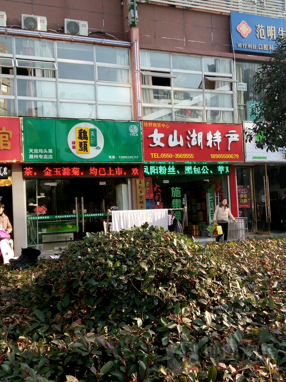 天龙鸡头果(滁州专卖店)