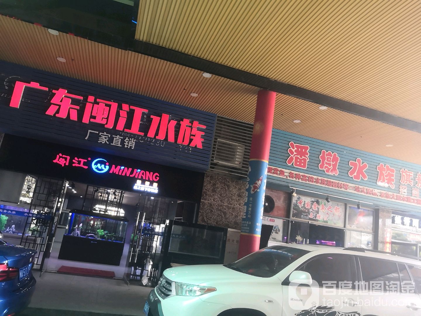 广东闽姜水族