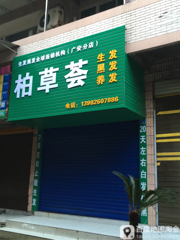 柏草荟(紫金街店)