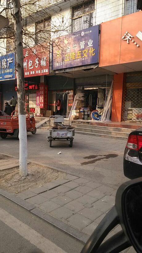 立隆华五交化(淮南市房地产大厦店)