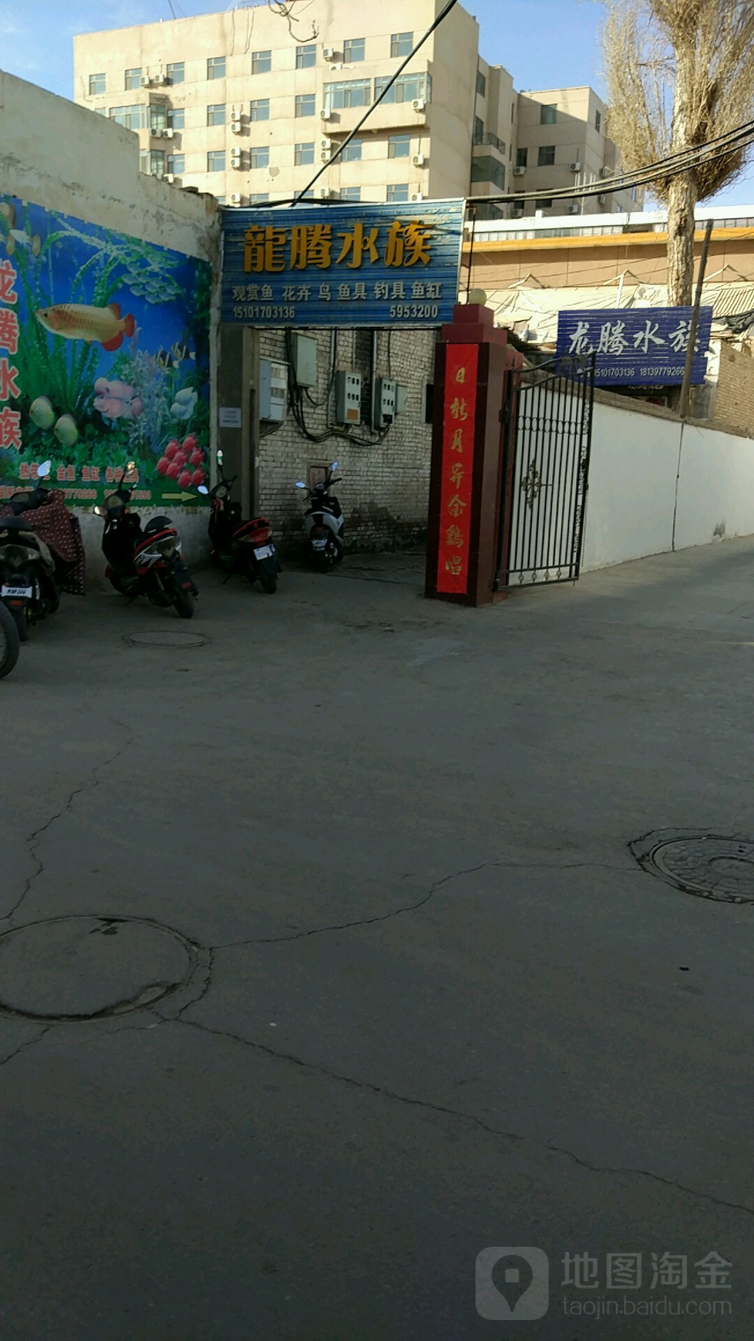 龙腾水族