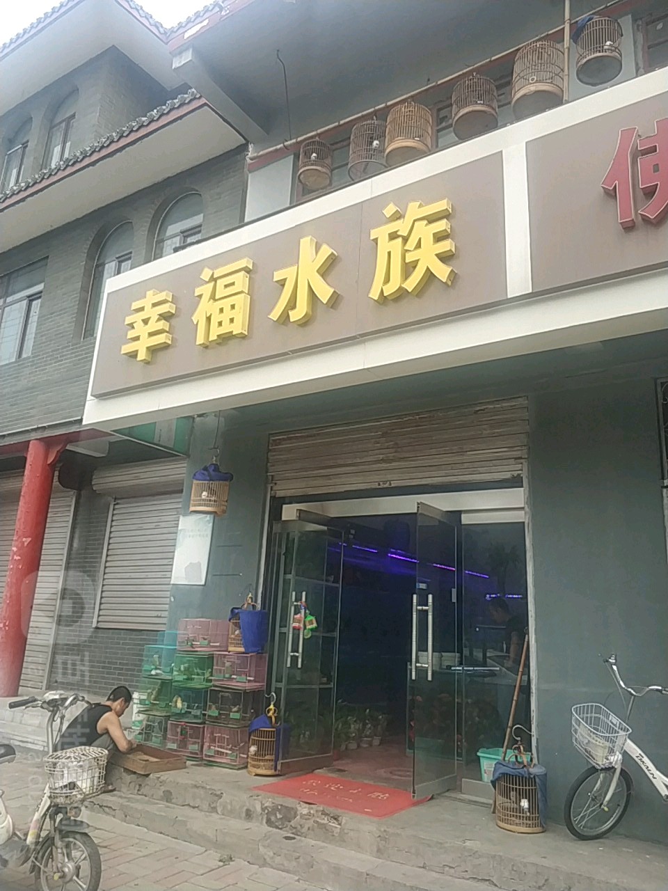 幸福。水族