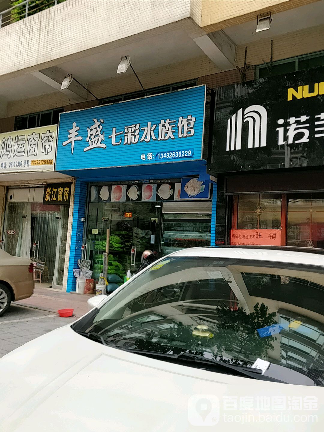 丰盛七彩水族馆(东日豪庭店)