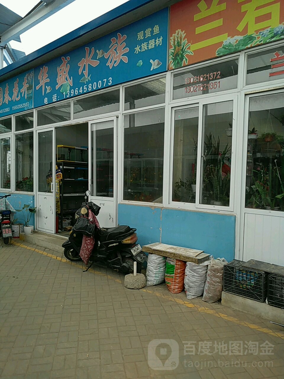 华盛水族