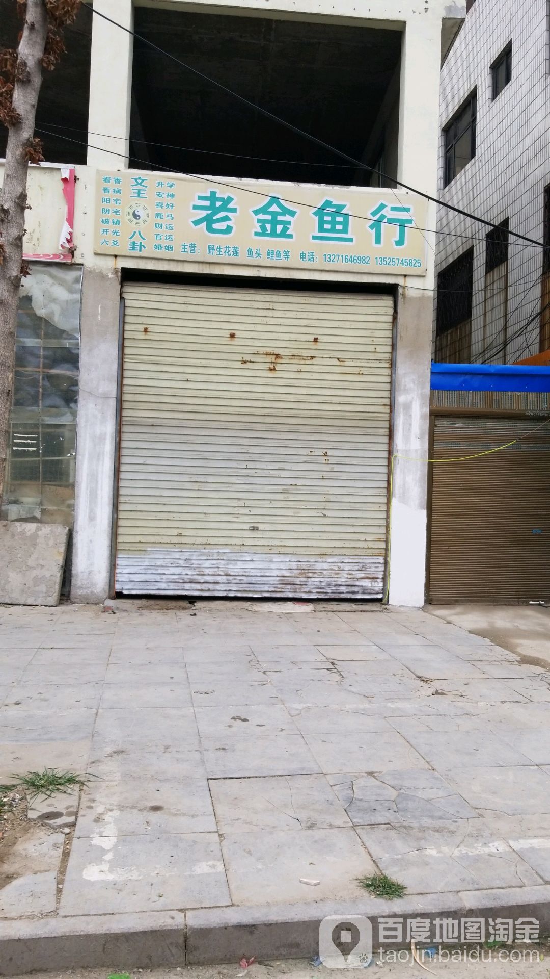 老金鱼行