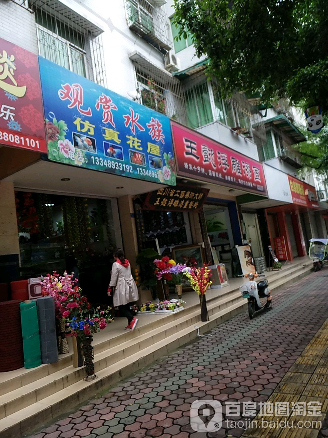 观赏水族(学府街店)