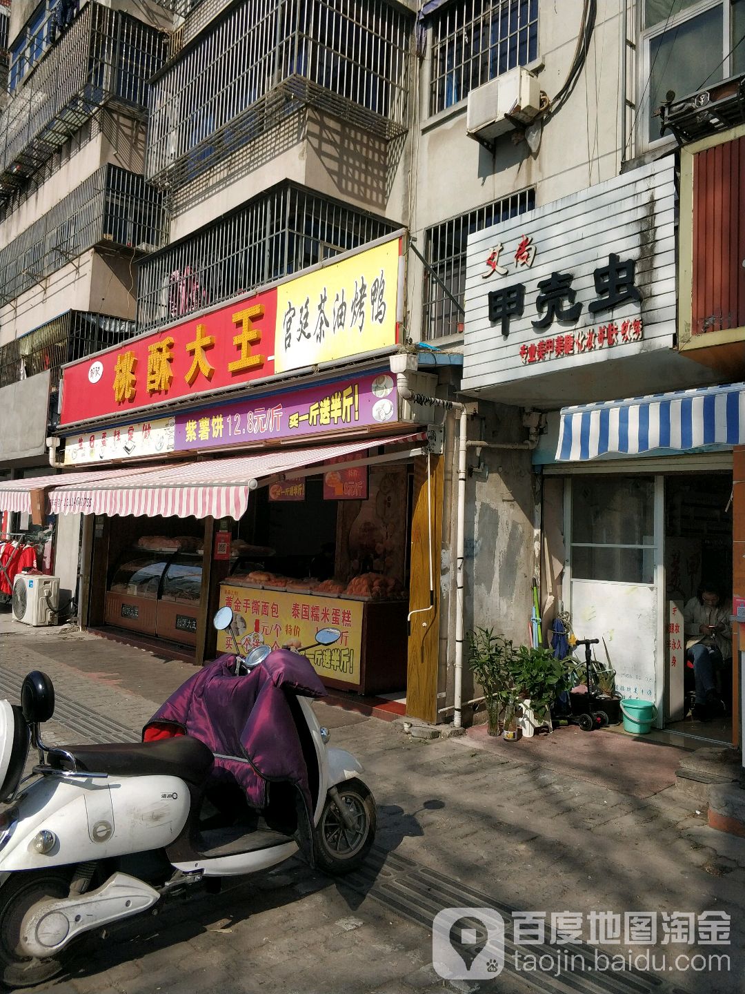 艾尚甲壳虫