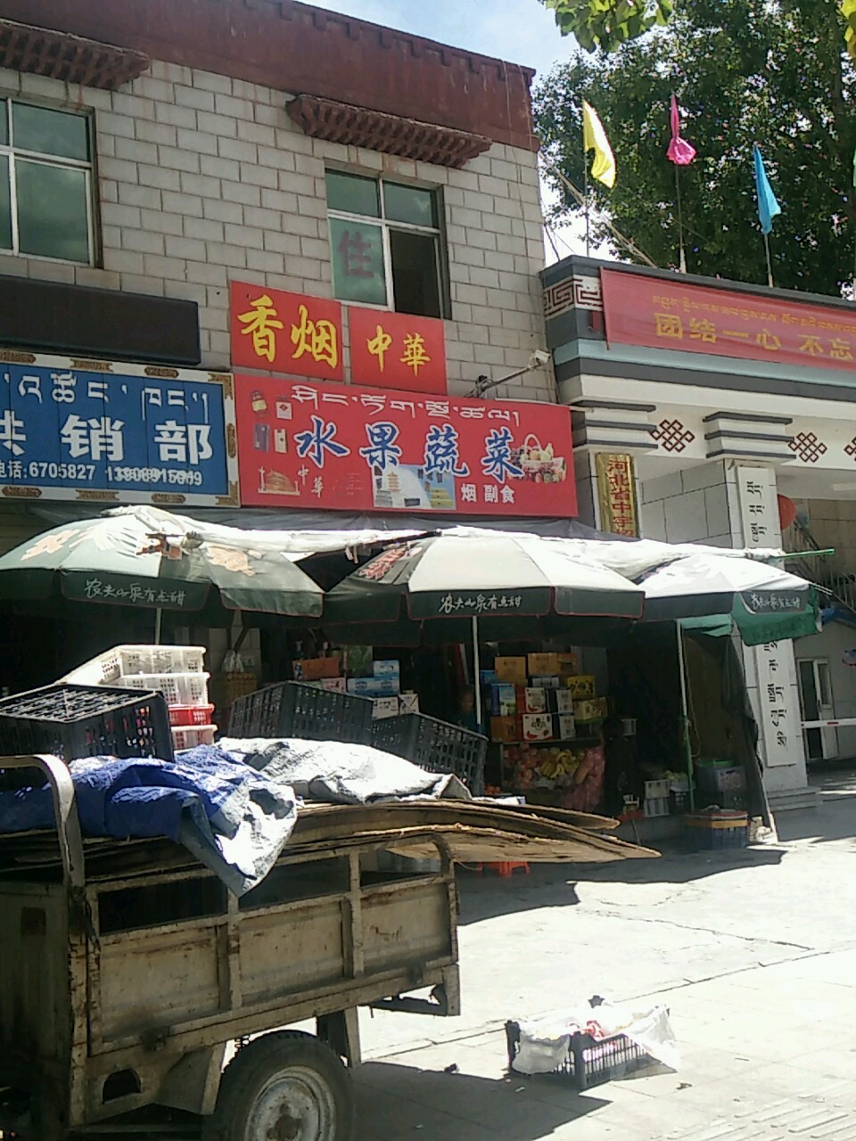 水果蔬菜(金珠西路店)