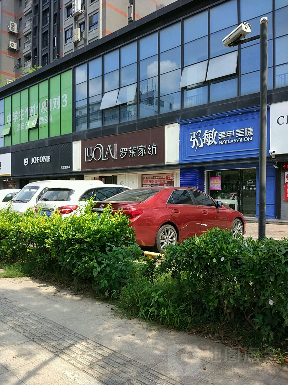 张敏毛甲美睫