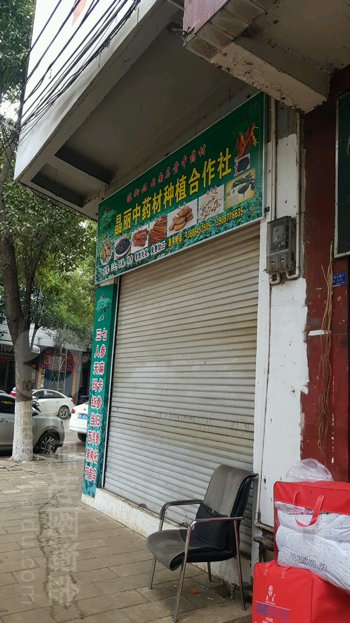 晶丽中药材种植合作社