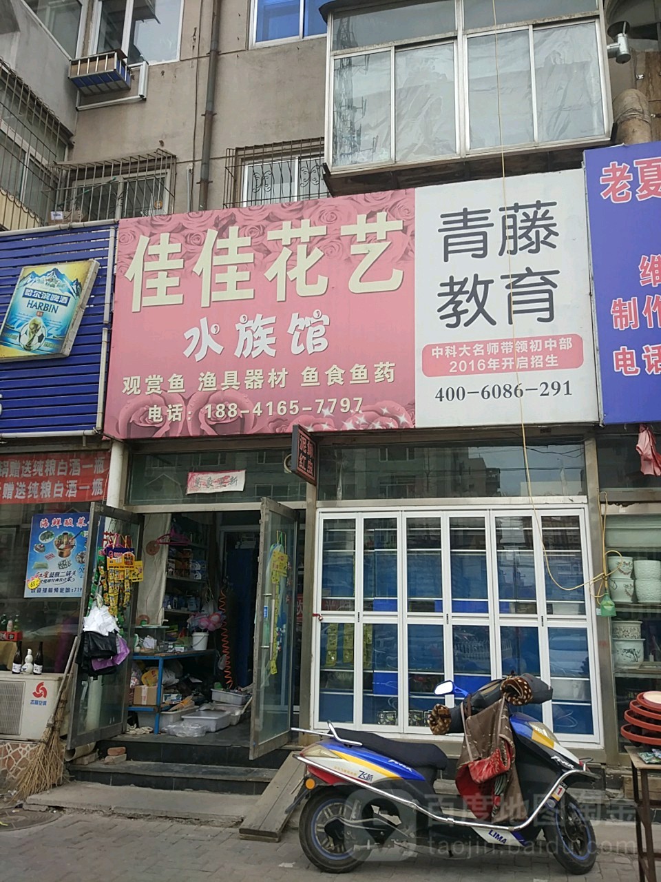 佳佳花艺水族馆(和平路店)