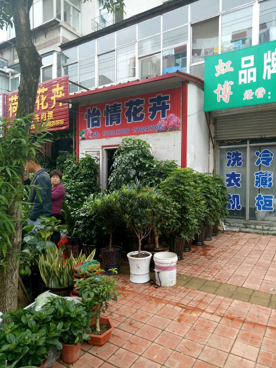 怡情花卉