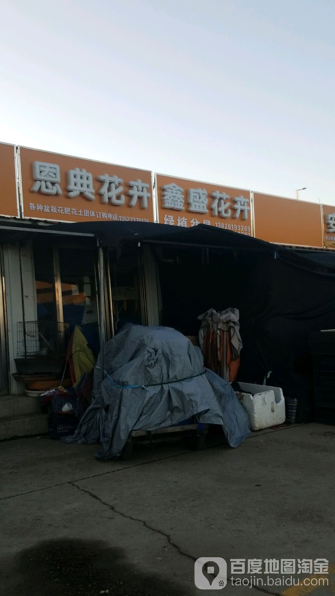 鑫盛花卉