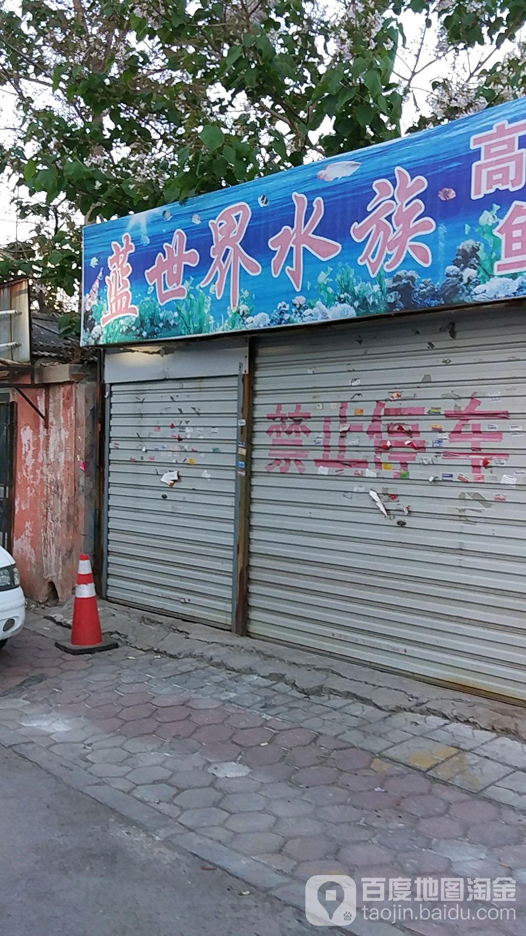 蓝世界水族(建设街)