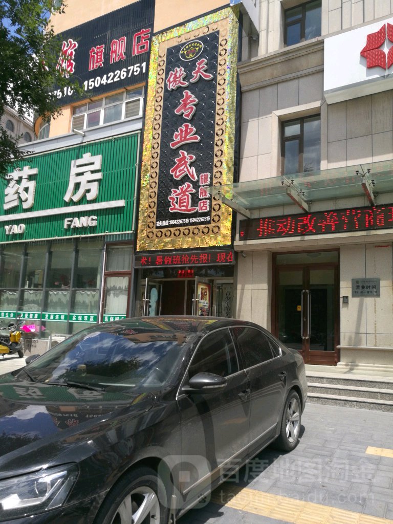 傲天专业武道旗舰店