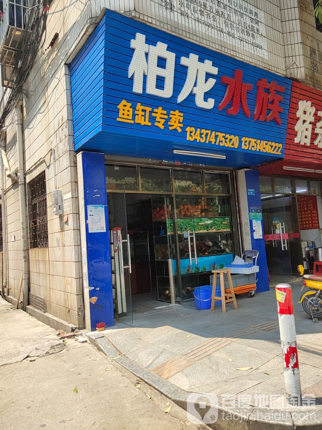柏龙水族