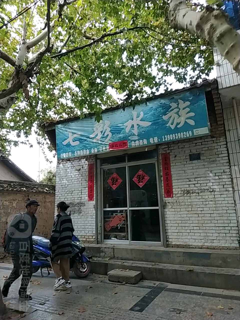 七连水族(小南街店)