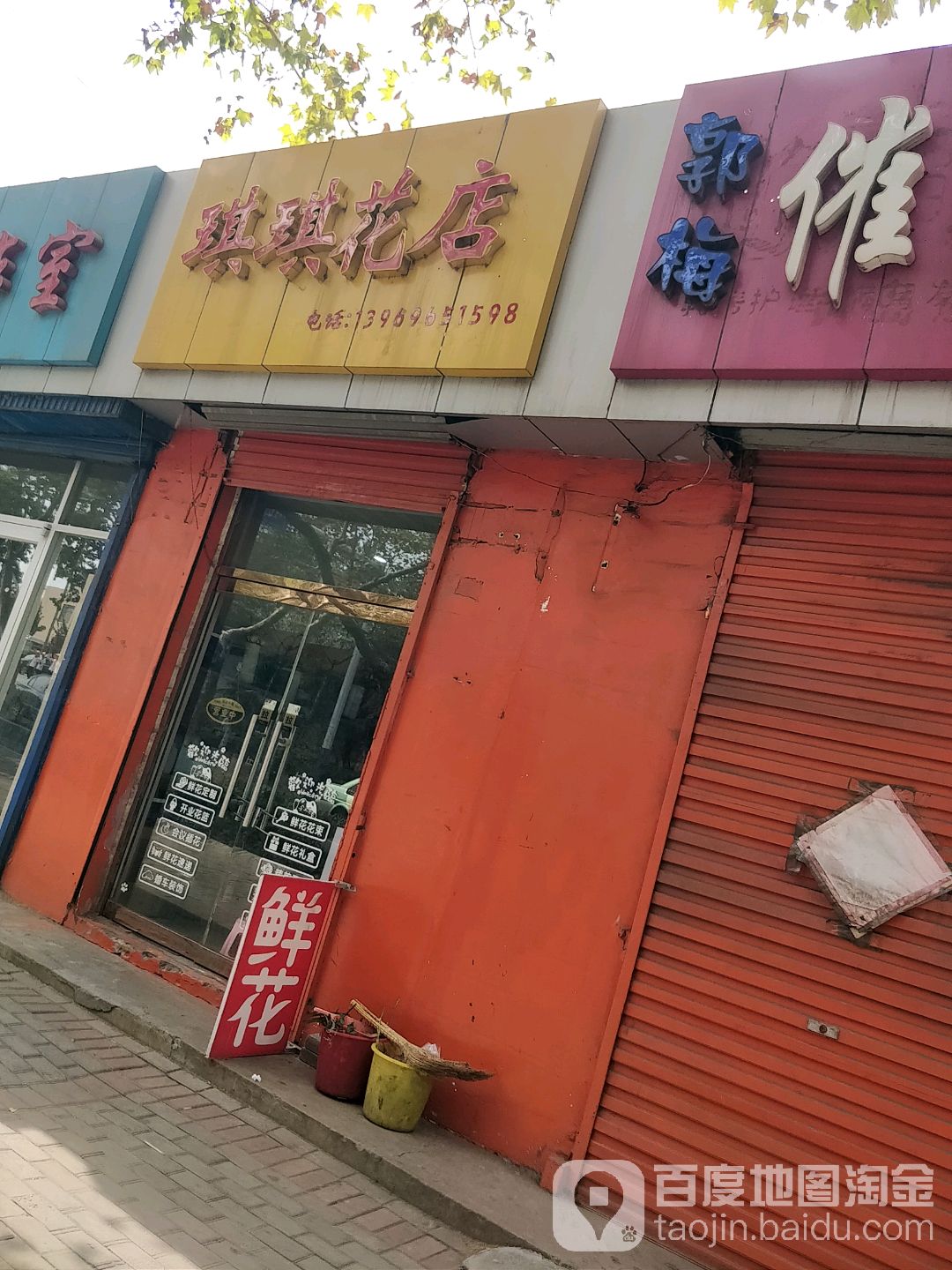 琪琪花店(总店)