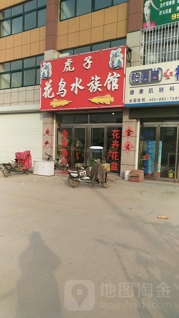 虎子花鸟水族馆