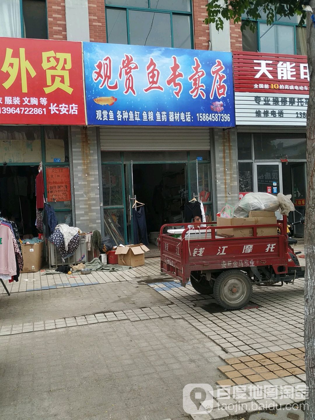 观赏鱼专卖店